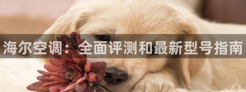 UG环球360官方网站
