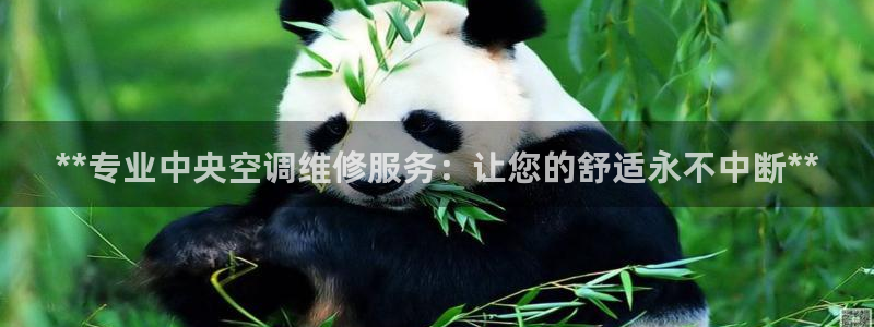 环球360官网登录页面在哪
