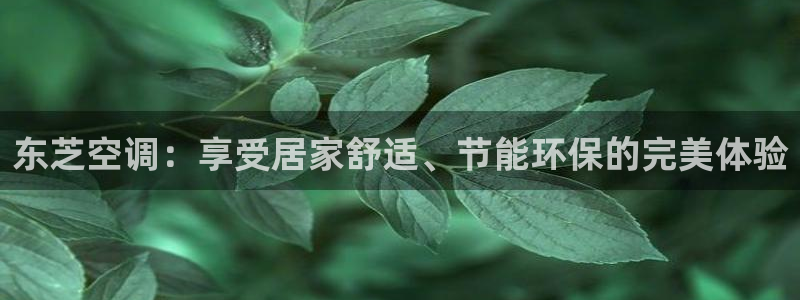 环球360漏洞