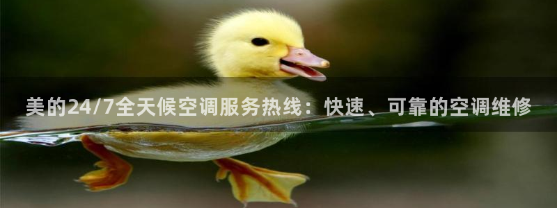 环球360正网注册