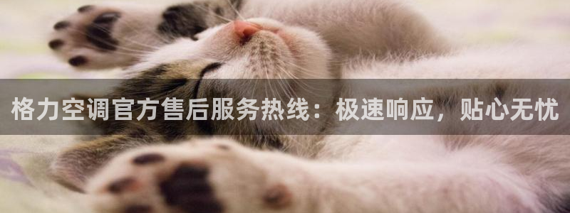 环球360会员登录入口官网