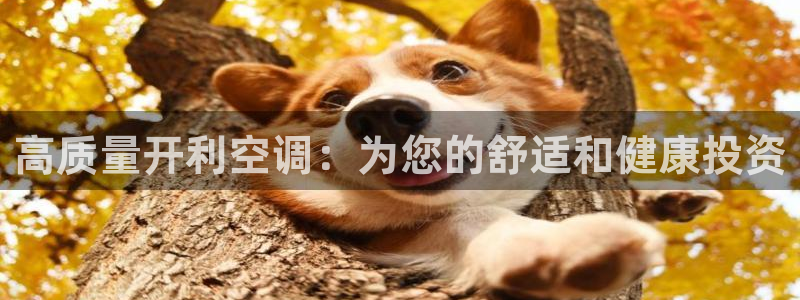 环球360如何买分