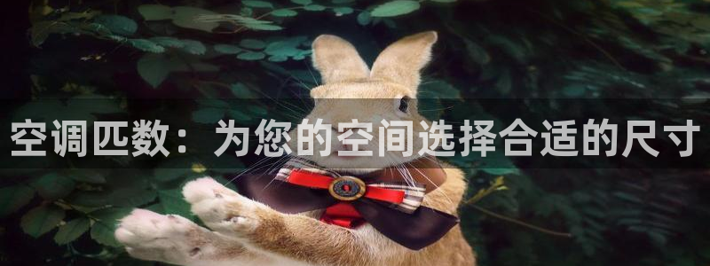 环球360手机版登录网址下载