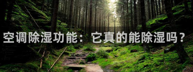 环球360手机版官方网站入口