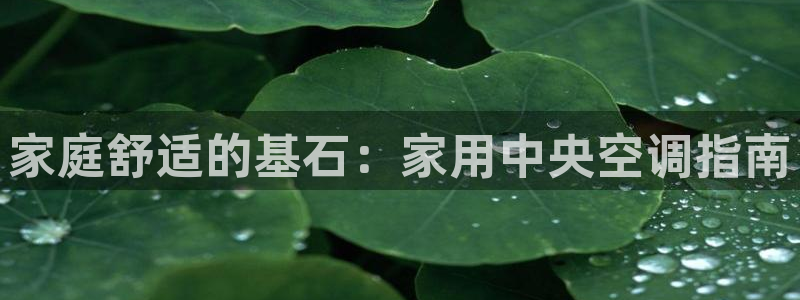 下载环球360