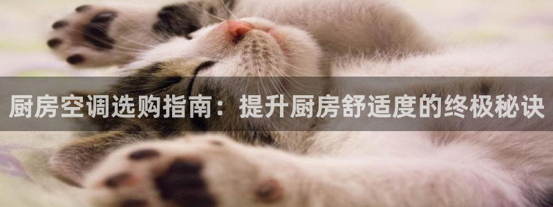 环球360代理网