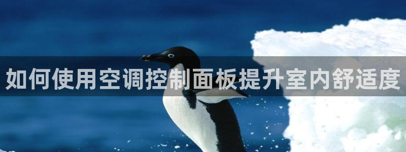 环球360放线